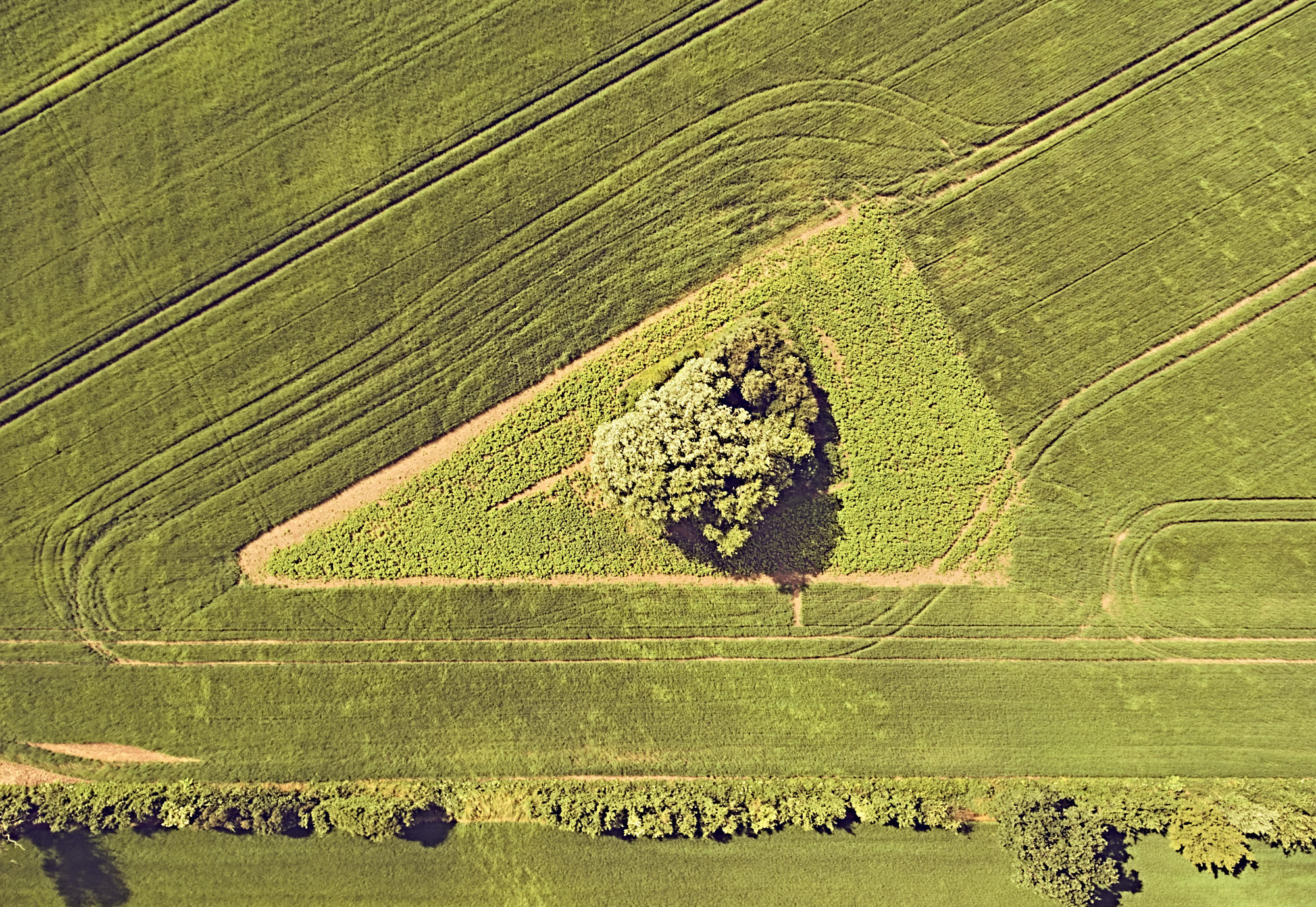 dronographica aerial imaging trekant mark field drone luftbilleder droner dronebilleder droneoptagelse natur