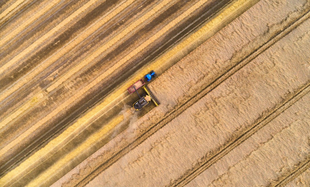 dronographica høst majetærsker mark gul traktor korn harvest